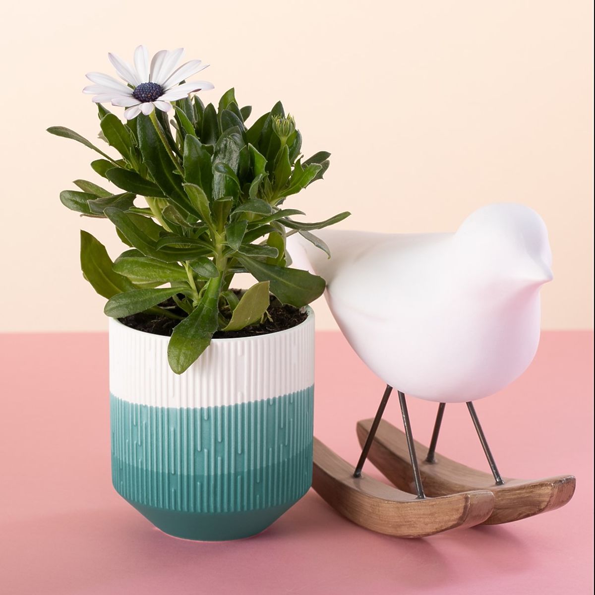 Flowerpot FINO Coral Color Modern Style for Interior AmeliaHome