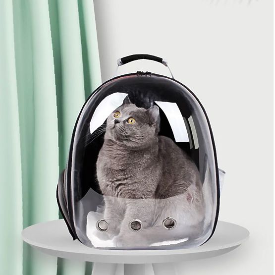 Animal Carrier P70259 Black