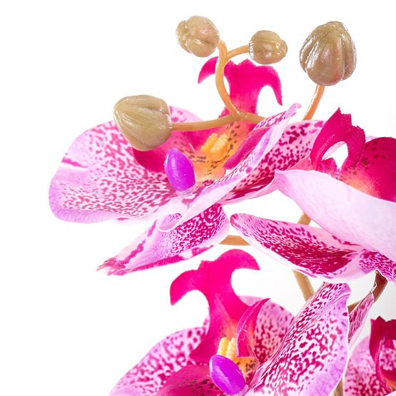 Artificial Flower FALENI Purple Color Modern Style AmeliaHome