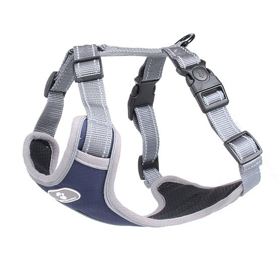 ASTRO Blue Dog Training Harness Size L