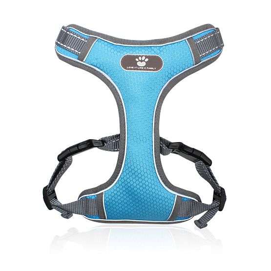 ASTRO Blue Dog Training Harness Size L