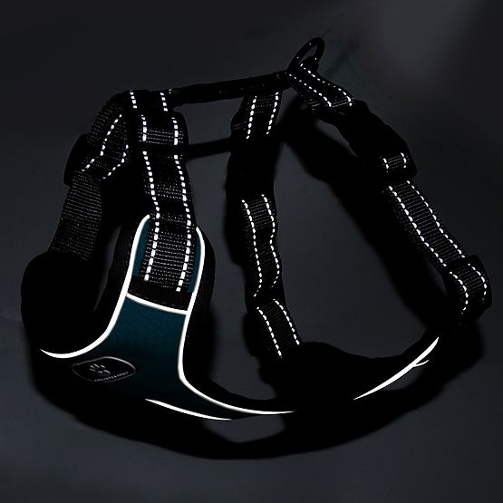 ASTRO Blue Dog Training Harness Size M