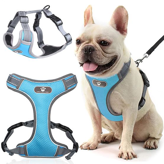 ASTRO Dog Training Harness Blue Size M