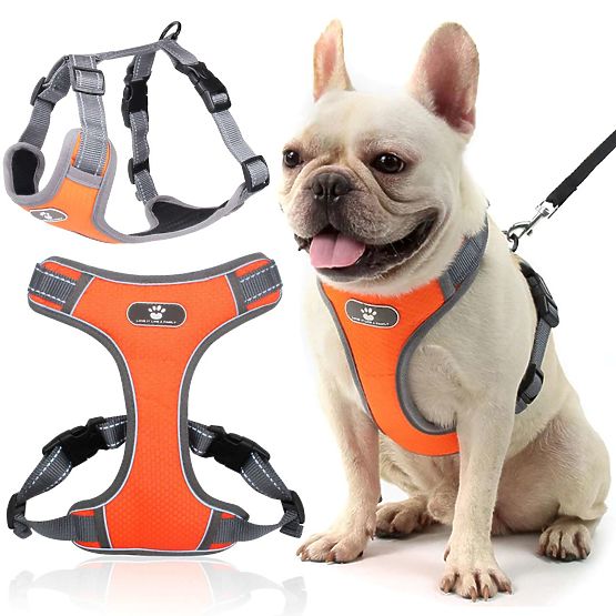 ASTRO Dog Training Harness Orange Size M
