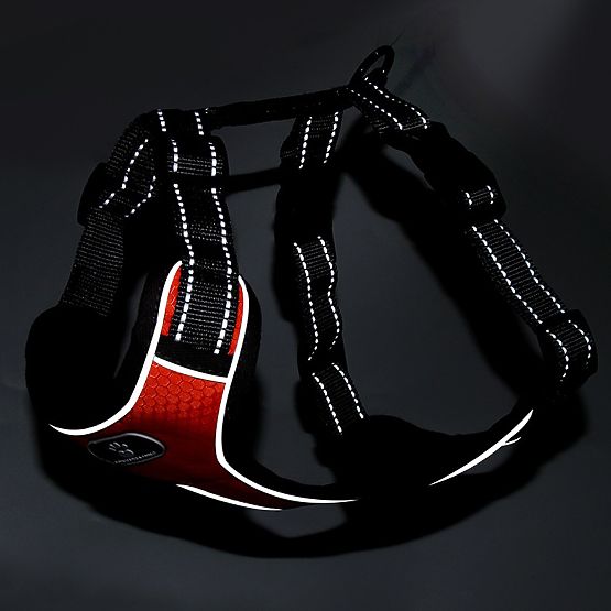 ASTRO Dog Training Harness Orange Size M