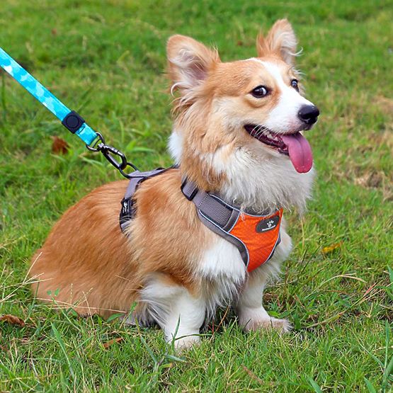 ASTRO Dog Training Harness Orange Size S