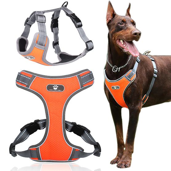 ASTRO Orange Dog Training Walking Harness Size XL