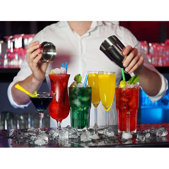 BRADFORD Bartender Set 10 Pieces