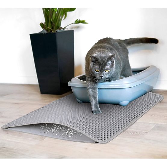 Cat Mat Doormat Catsy 40x50 cm Gray
