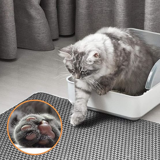 Cat Mat Doormat Catsy 40x50 cm Gray