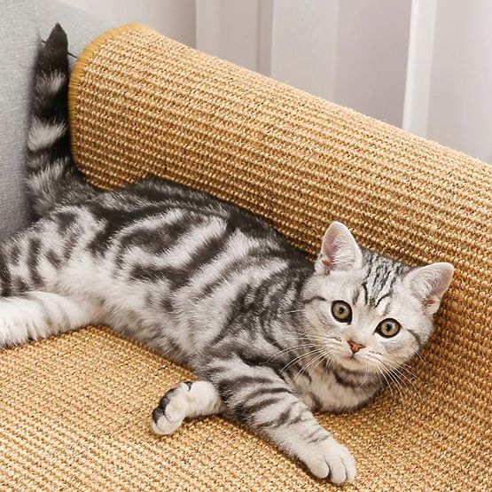 CAT SCRATCHING PAD 60x40cm 332494