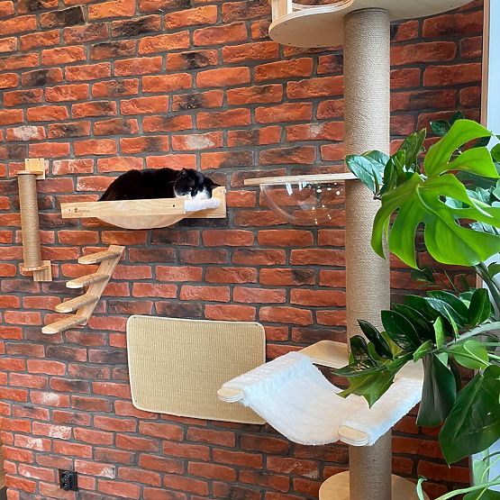 CAT SCRATCHING PAD 60x40cm 332494