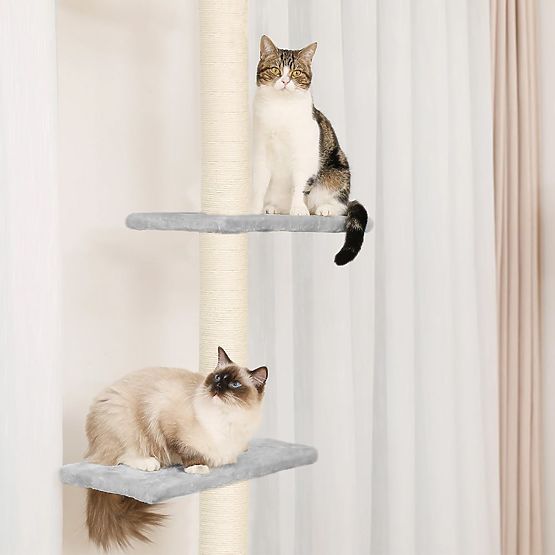 CEILING CAT SCRATCHER GRAY P70374