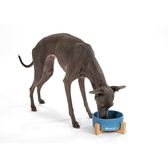 Ceramic Bowl for Dog or Cat Blue PJ-033