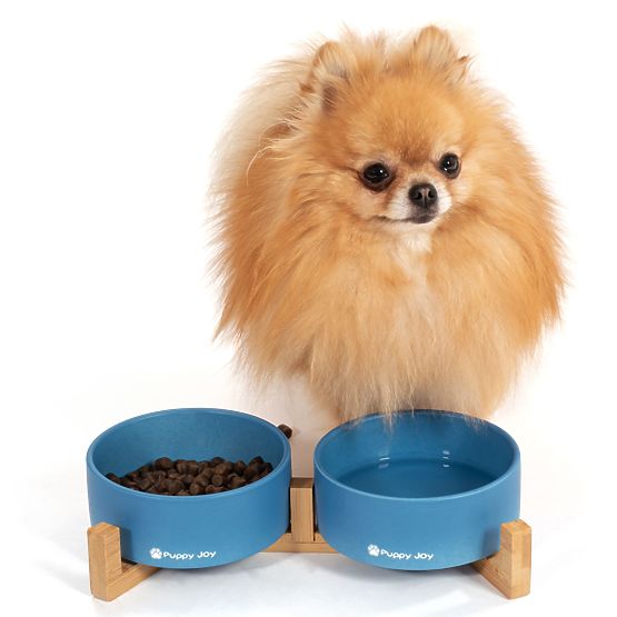 Ceramic Bowls for Dogs or Cats Blue PJ-080
