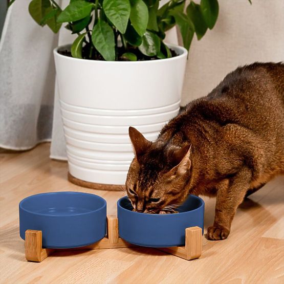 Ceramic Bowls for Dogs or Cats Blue PJ-080
