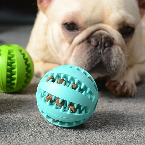 Chew Ball for Dogs Blue PJ-039