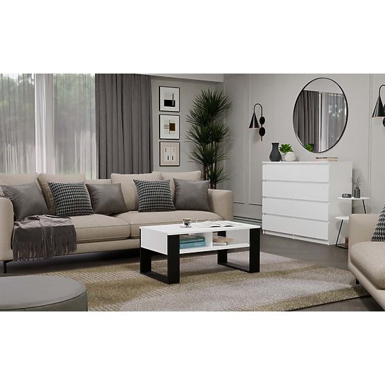Coffee Table Modern 2P WHITE BLACK