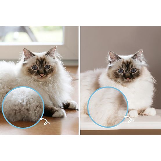 Comb - Professional Detangling Brush PJ-040