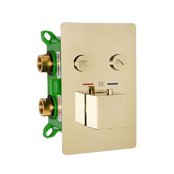 Concealed Shower Set with Thermostat FENIX DAVIS Gold + BOX