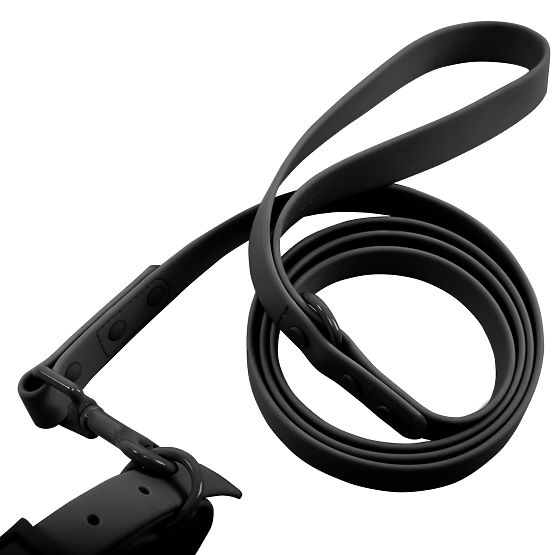 Dog Leash and Collar PJ-067 Black S