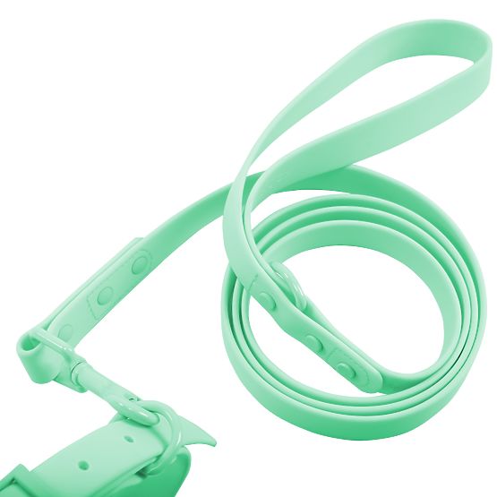 Dog Leash and Collar PJ-069 Green S