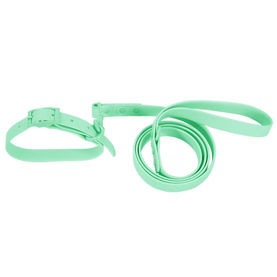 Dog Leash and Collar PJ-069 Green S
