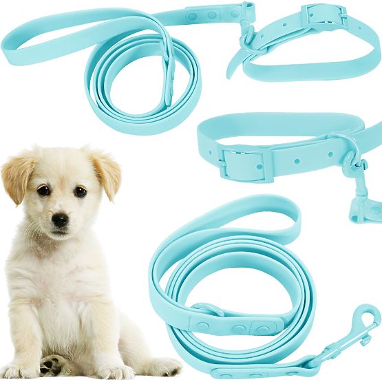 Dog Leash and Collar PJ-070 Blue S