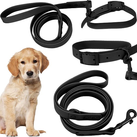 Dog Leash and Collar PJ-071 Black M