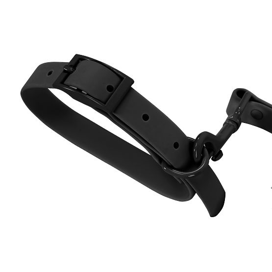 Dog Leash and Collar PJ-071 Black M