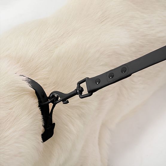 Dog Leash and Collar PJ-071 Black M