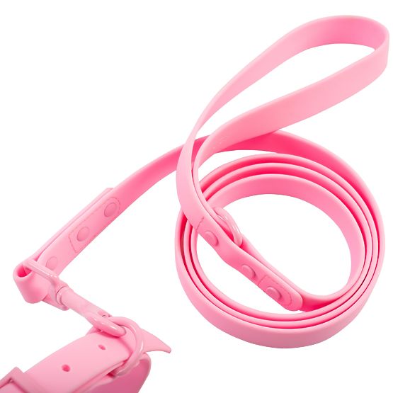 Dog Leash and Collar PJ-072 Pink M