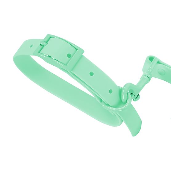 Dog Leash and Collar PJ-073 Green M