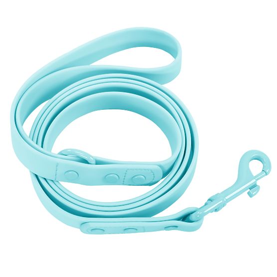 Dog Leash and Collar PJ-074 Blue M