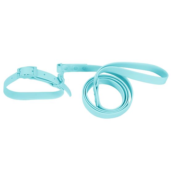Dog Leash and Collar PJ-074 Blue M