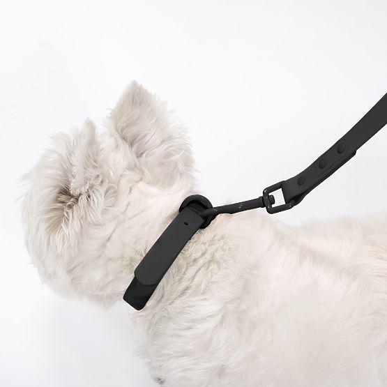 Dog Leash and Collar PJ-075 Black L