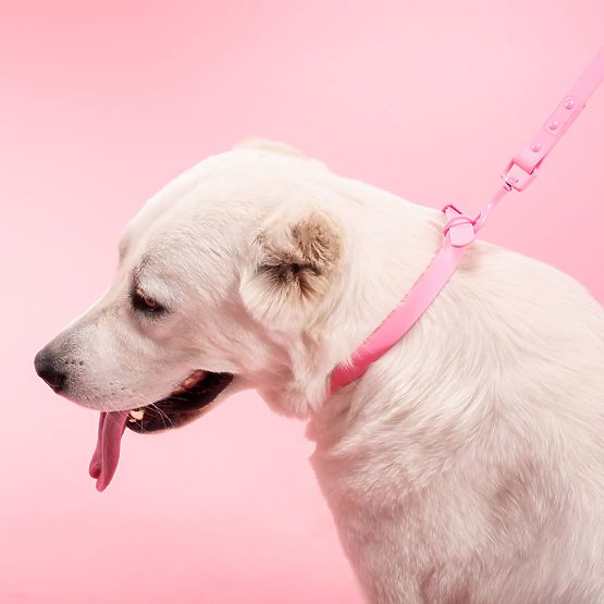 Dog Leash and Collar PJ-076 Pink L