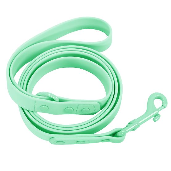 Dog Leash and Collar PJ-077 Green L