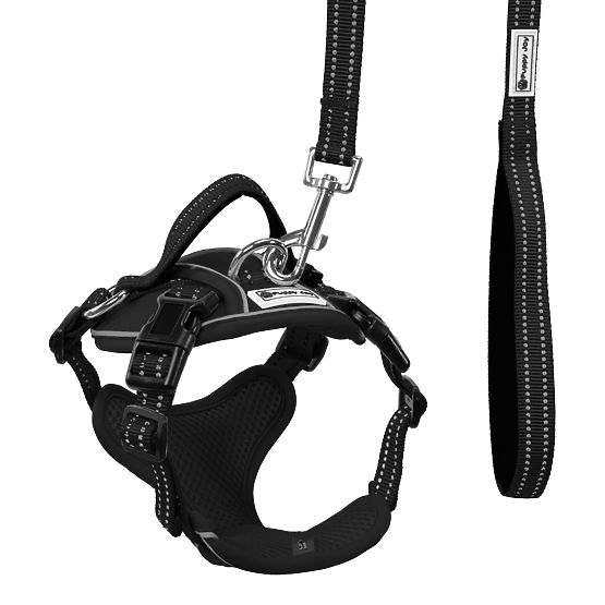 Dog Leash and Harness PJ-047 Black XS