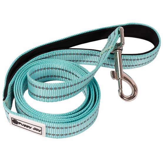 Dog Leash and Harness PJ-049 Green XS