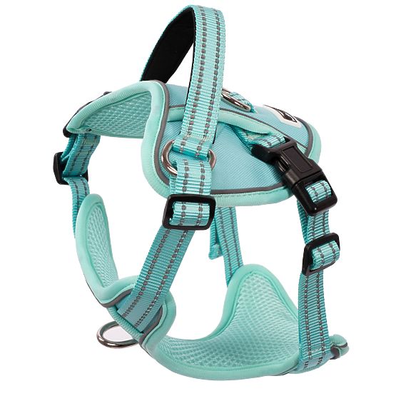 Dog Leash and Harness PJ-049 Green XS