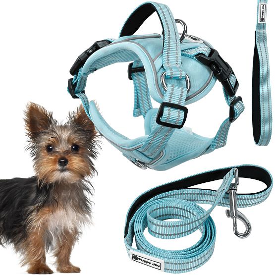 Dog Leash and Harness PJ-050 Blue XS