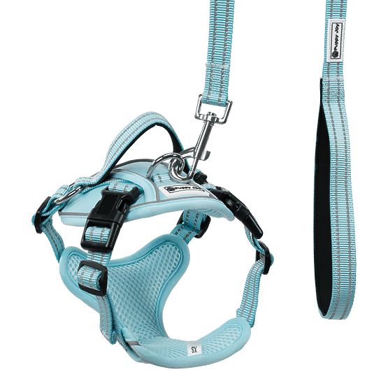 Dog Leash and Harness PJ-050 Blue XS