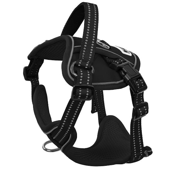 Dog Leash and Harness PJ-051 Black S