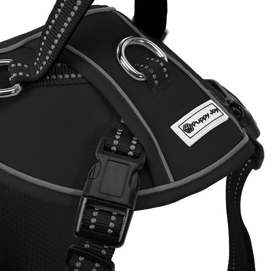 Dog Leash and Harness PJ-051 Black S