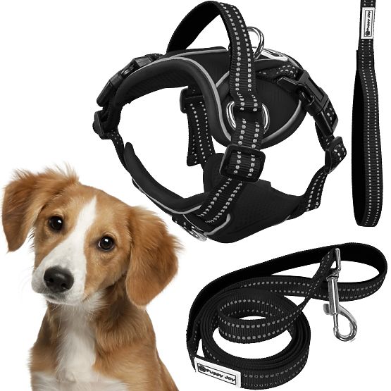 Dog Leash and Harness PJ-055 Black M