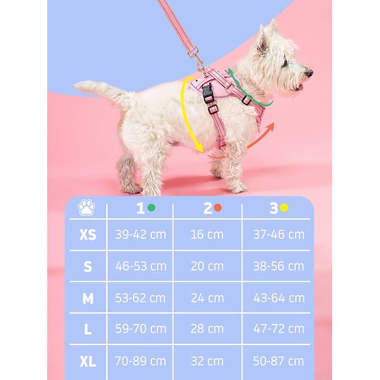 Dog Leash and Harness PJ-057 Green M