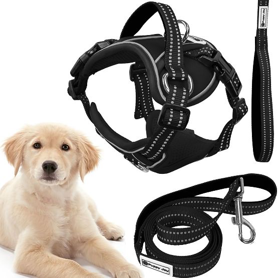 Dog Leash and Harness PJ-059 Black L