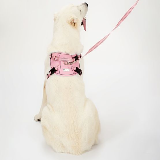 Dog Leash and Harness PJ-060 Pink L