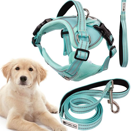 Dog Leash and Harness PJ-061 Green L